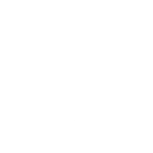 Inspired by Indian Culture